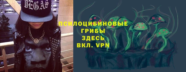 индика Новокубанск