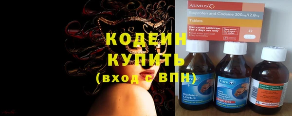индика Новокубанск