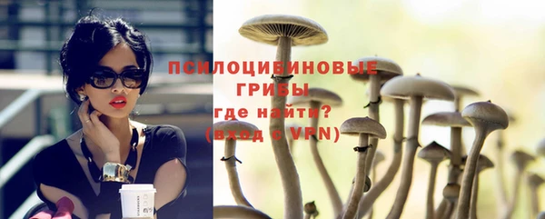 индика Новокубанск