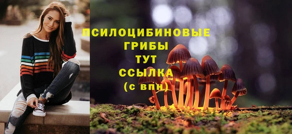 гидропоника Нея