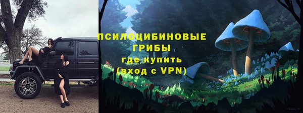 индика Новокубанск