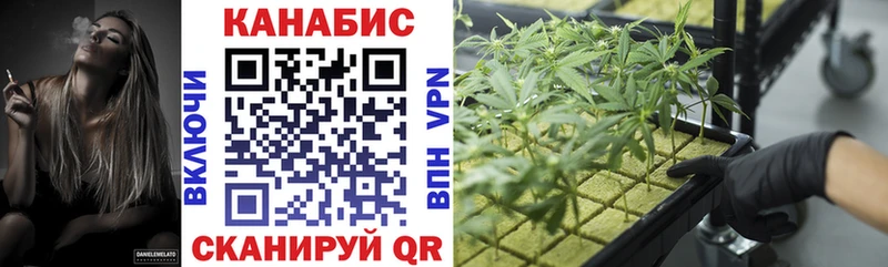 Шишки марихуана Bruce Banner  ссылка на мегу ТОР  Болхов 